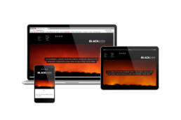 Blackash Responsive Website Design by Iezzi Creative